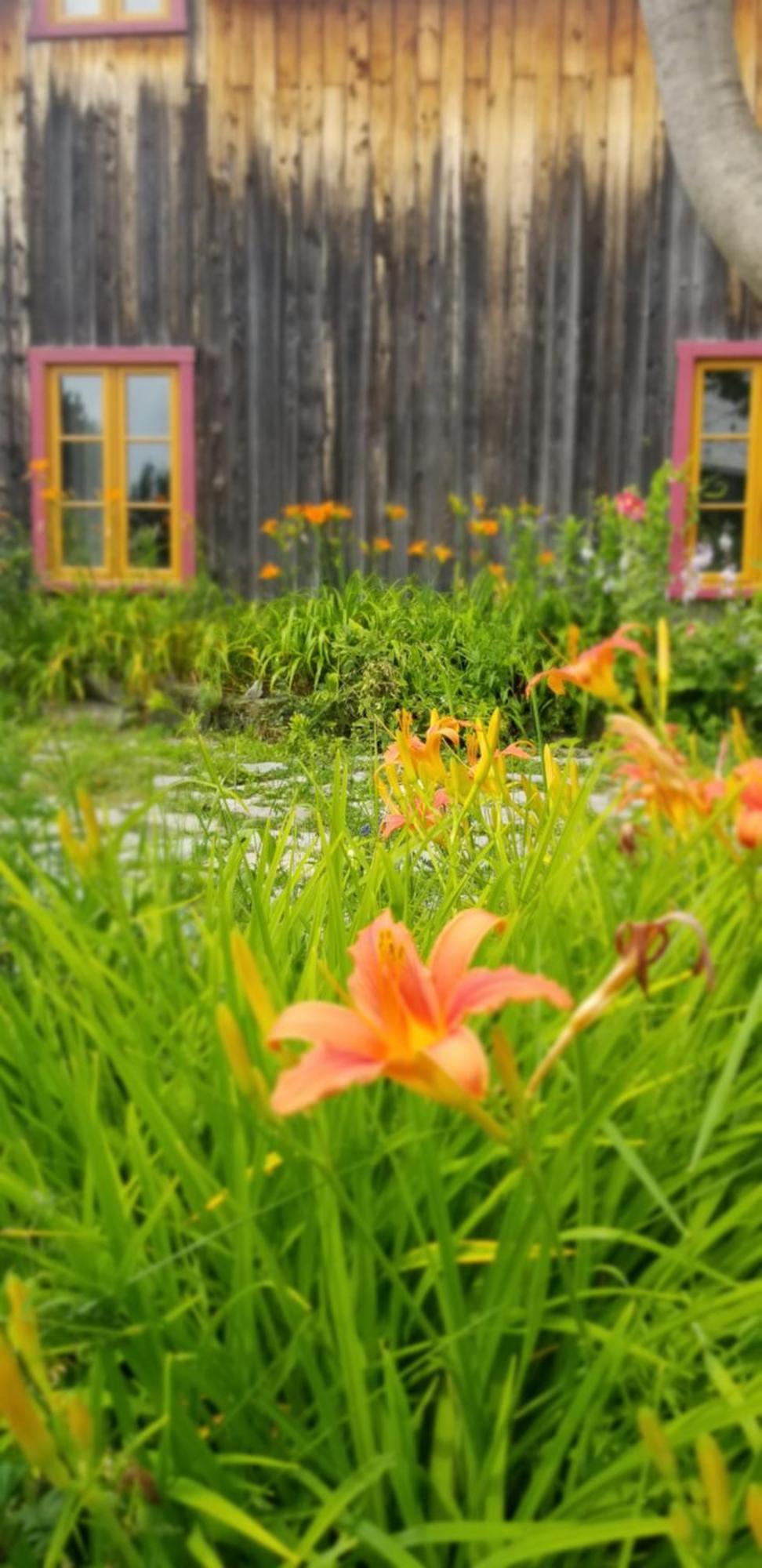 Auberge Le P'tit Bonheur Saint-Laurent-de-l'ile d'Orleans Eksteriør billede